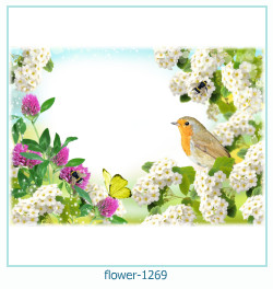 flower Photo frame 1269