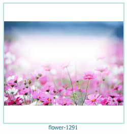 flower Photo frame 1291