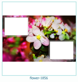 flower Photo frame 1856
