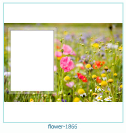 flower Photo frame 1866