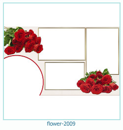 flower Photo frame 2009
