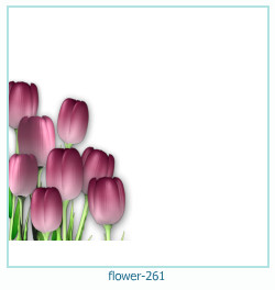 flower Photo frame 261